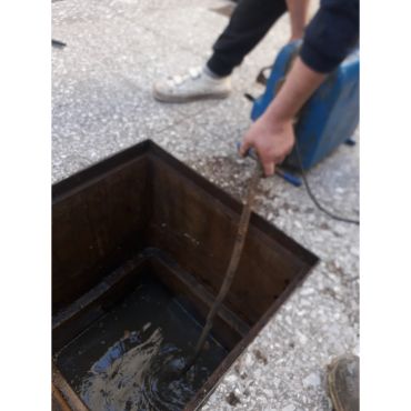 Destapacion de tapa cloacal